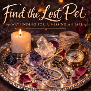 Puede incluir: Una bandeja plateada con una vela encendida, cristales, una brújula y una llave. El texto "Find the Lost Pet" está en la parte superior, con "Wayfinding for a missing animal" debajo. La escena es cálida e invitante.