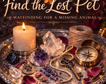 Find the lost (pet) (Wayfinding for a Missing Animal) — Strengthen the Return Path & Encourage Safe Reunion