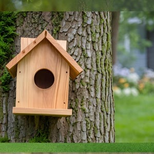 Plano de construcción de nido de pájaro de madera, plano de carpintería, plano de construcción, archivo pdf
