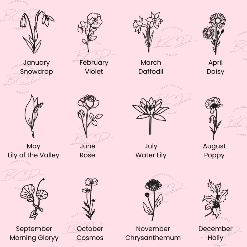 May include: A black and white illustration of flowers representing each month of the year. January is a snowdrop, February is a violet, March is a daffodil, April is a daisy, May is a lily of the valley, June is a rose, July is a water lily, August is a poppy, September is a morning glory, October is a cosmos, November is a chrysanthemum, and December is holly.
