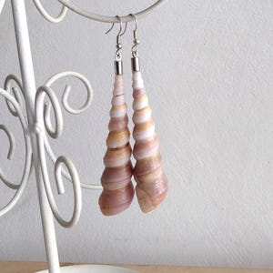 Könnte beinhalten: Ein Paar Muschelohrringe mit Spiraldesign, die an einem weißen dekorativen Ständer hängen. Die Ohrringe sind eine Mischung aus hellbraunen und rosa Farbtönen, mit silberfarbenen Ohrhaken. Der Ständer hat ein geschwungenes Design.