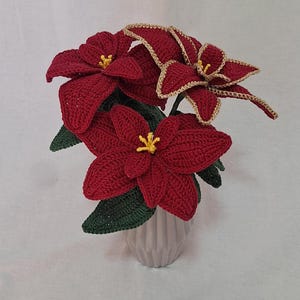 Weihnachtsstern pflanze - Etsy.de