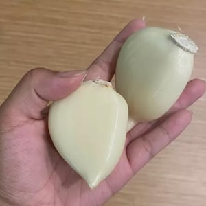Op de afbeelding: Twee gepelde teentjes knoflook, crèmewit van kleur, worden in een hand gehouden. De teentjes hebben een glad, licht doorschijnend oppervlak. De achtergrond is een lichtbruin houten oppervlak.