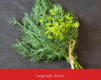 Heirloom Bouquet Dill Seeds – Non-GMO Organic, Classic Herb