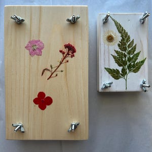 May include: Two wooden frames with metal clamps, used for pressing flowers. The larger frame has a pink flower, a red flower, and a cluster of small red flowers. The smaller frame has a fern and a white flower.