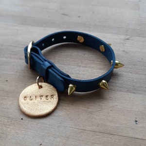 Spike Leather Dog Collar, Custom Pet Collar