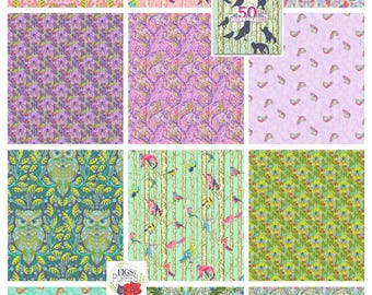 Full Moon Forest II Fabric Bundle: Tula Pink Owl Prints