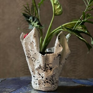 Peut inclure: Pot en céramique blanche avec un motif de peinture éclaboussée noire, mettant en scène une plante verte aux feuilles panachées.