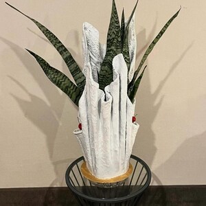Peut inclure: Un pot en céramique blanche avec un design texturé et ondulé. Le pot est rempli d'une plante serpent verte aux feuilles longues et pointues. Le pot a deux accents rouges sur le devant.