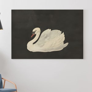 Framed Vintage Print, Black Swan Art, Vintage Art Framed, Antique illustration, Nursery Prints, Vintage Decor, Housewarming Gift