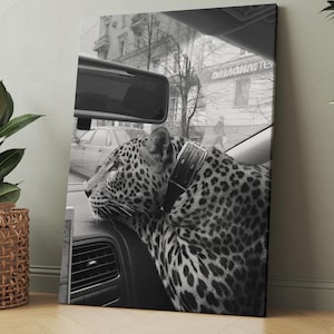 Panther in the Car Print, Cheetah Poster, Black and White Wall Art, Vintage Photography, Fashion Print, 1950s, Home Decor
