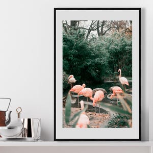 Pink Flamingos Pond – Tropical Fine Art Photo – Coastal Nature Wall Decor – Framed or Unframed – Flamingo Art Print