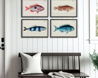 Vintage Fish Print Set: Coastal Nautical Wall Art, Bloch Illustrations