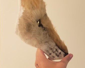 Coyote mask