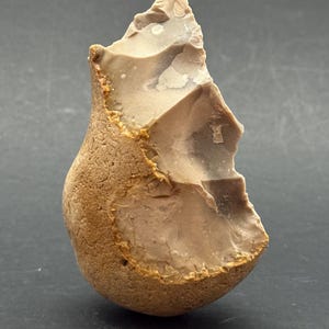 May include: A hand-shaped, light brown stone tool with a rough, textured exterior and a smooth, chipped interior. The tool has a rounded base and a sharp, angled edge, suggesting it was used for cutting or scraping.