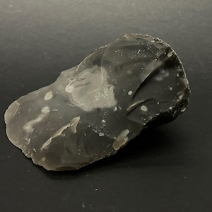 Neanderthal Clever Prehistoric Tool