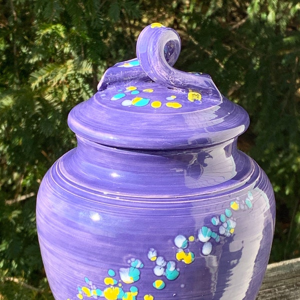 tarro de galletas, varios colores