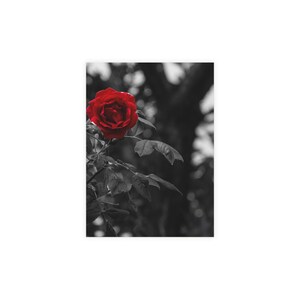 Pacotes de cartões postais, cartões postais góticos com tema de rosas, envelopes incluídos, conjunto de papelaria, cartões de romance sombrio, cartões de nota