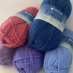 Plymouth Encore Worsted Weight Yarn | 100g skeins | 5 colors available