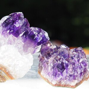 May include: Two clusters of raw amethyst crystals featuring deep purple, translucent points that transition into opaque white and tan bases. The jagged, multifaceted surfaces of the stones reflect light, showcasing the natural geometric structure.