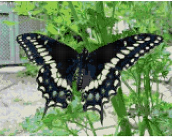 Swallowtail PDF Cross Stitch Pattern