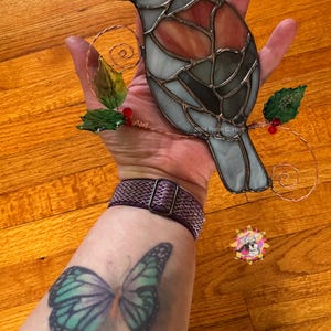 Dark Eyed Junco (grey-headed) in direct sunlight (color variation).