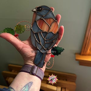 Dark Eyed Junco (grey-headed) being held for size reference.