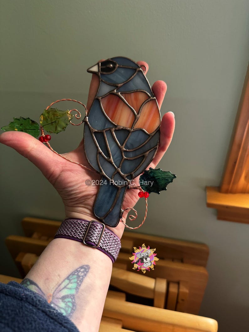 Dark Eyed Junco (grey-headed) being held for size reference.