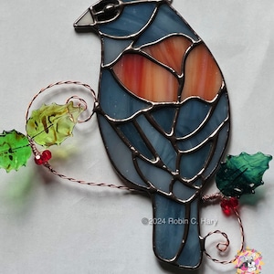 Dark Eyed Junco (grey-headed) in on light box- light off.