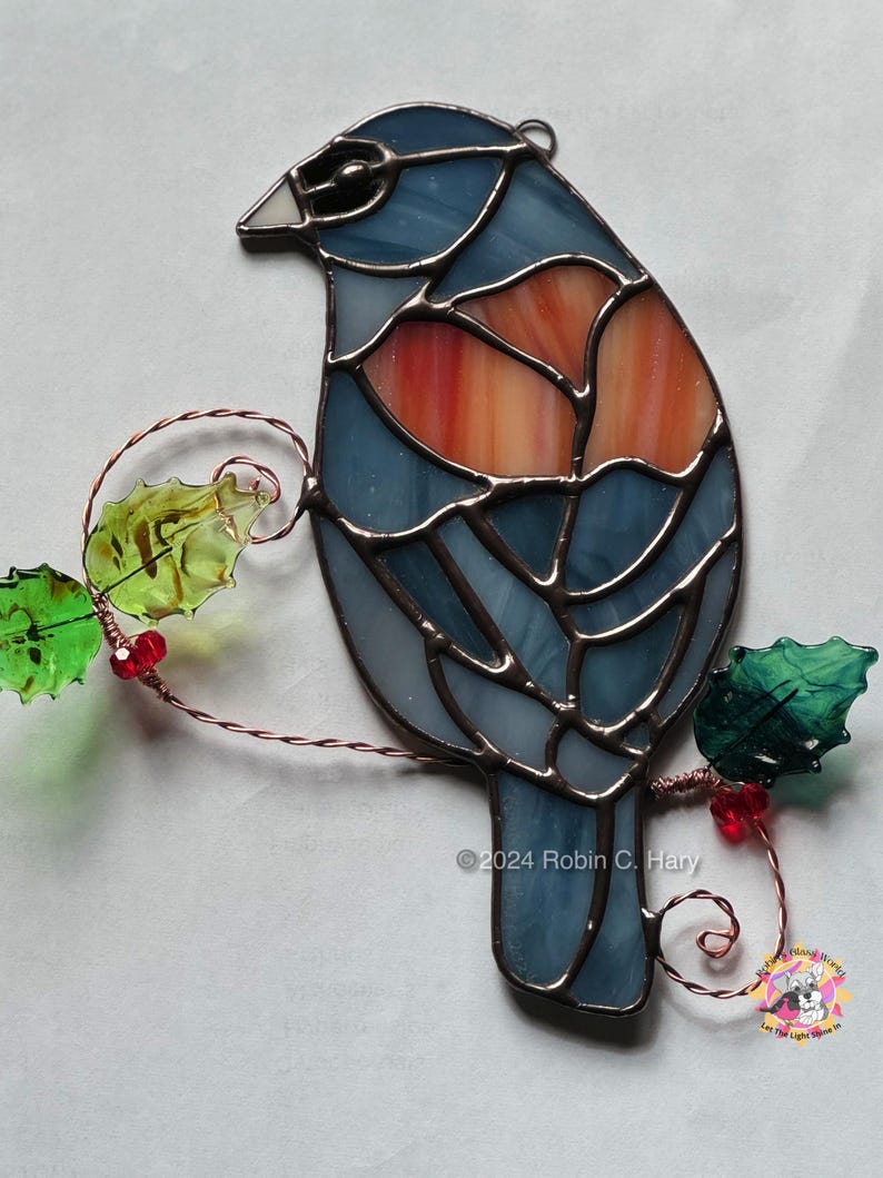 Dark Eyed Junco (grey-headed) in on light box- light off.