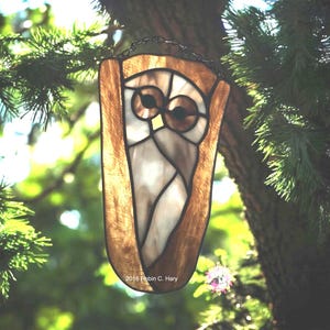 Barred Owl Handmade Stained Glass Suncatcher
