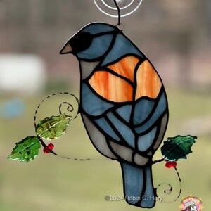 Dark Eyed Junco (grey-headed) in direct sunlight.