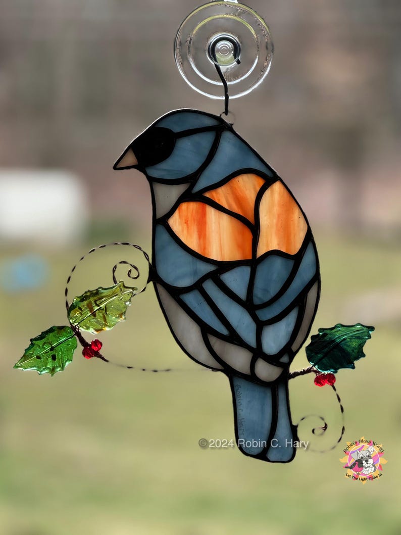 Dark Eyed Junco (grey-headed) in direct sunlight.