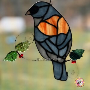 Dark Eyed Junco (grey-headed) in direct sunlight.