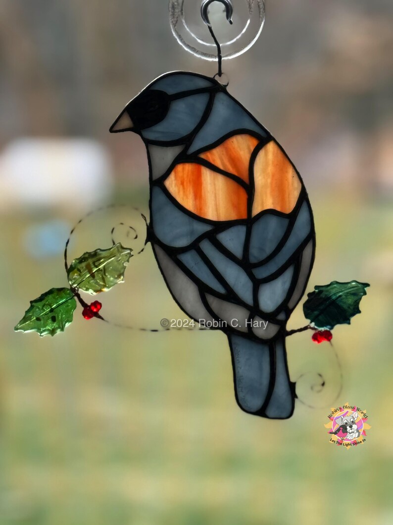 Dark Eyed Junco (grey-headed) in direct sunlight.