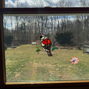 Dark Eyed Junco (grey-headed) in a 20 inch by 26 inch window for size reference. (color variation).