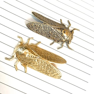 2 Brass Cicada Stamping, Made in USA, Brass Beetle , Metal Insect Finding, Quantity Price Discount