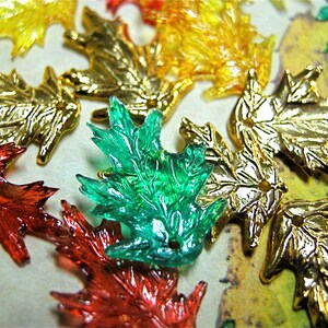 Autumn leaves Mix Harvest Colors (20)