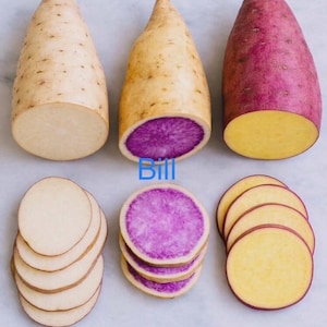 15 Sweet Potato Slips - White  + Okinawa + Red Japanese – Organic USA
