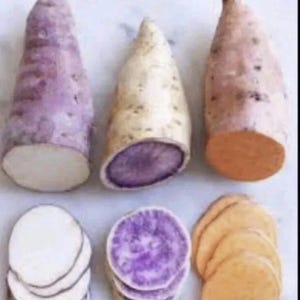 May include: An image showcasing three varieties of sweet potatoes: purple, white, and orange. The sweet potatoes are whole and sliced, revealing their vibrant interior colors. The sliced sweet potatoes are arranged in neat stacks.