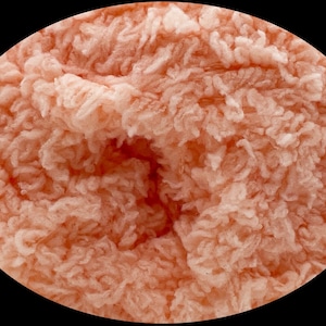 May include: Close-up of a peach-colored, textured material, possibly fabric or a similar textile. The material has a dense, irregular pattern with a slightly rough appearance, set against a black background.