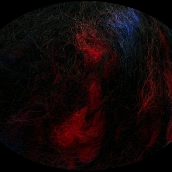 Berger du Nord, Polaire, Mohair & Wool, Black, Blue and Red, Tricolor, 50 grams, Discontinued, Fiber Arts, Made in France