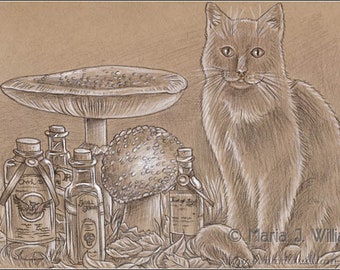 Autumn Equinox - original colored pencil sketch, cat with toadstools and potions fantasy autumn art by Maria J. William