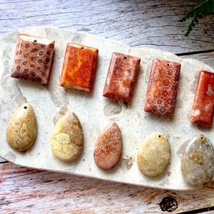 May include: A collection of coral pendants and beads in brown, orange, and beige hues. The rectangular pendants and oval beads are arranged on a marble-effect tray, highlighting their natural textures and patterns. The pendants are pre-drilled for stringing.