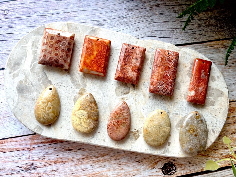 May include: A collection of coral pendants and beads in brown, orange, and beige hues. The rectangular pendants and oval beads are arranged on a marble-effect tray, highlighting their natural textures and patterns. The pendants are pre-drilled for stringing.