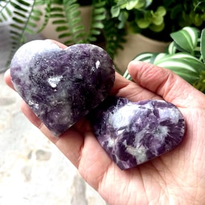 May include: Two heart-shaped stones featuring a polished surface with deep purple and white crystalline patterns. The stones exhibit natural mineral variations with translucent and opaque sections, showcasing a smooth, rounded texture throughout.