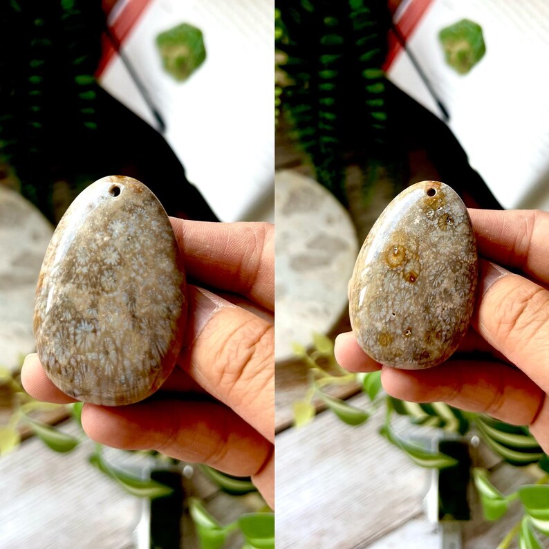 May include: Two oval-shaped, polished stones with a hole drilled at the top. The stones have a beige and brown mottled pattern, resembling fossilized coral. The stones are held in a person's hand, showcasing their natural texture and colour.