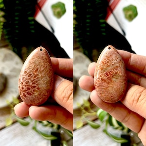 May include: Two teardrop-shaped, polished coral pendants. The pendants are a mix of reddish-brown and tan, with intricate patterns. Each pendant has a small hole at the top for stringing. The background is blurred with greenery.