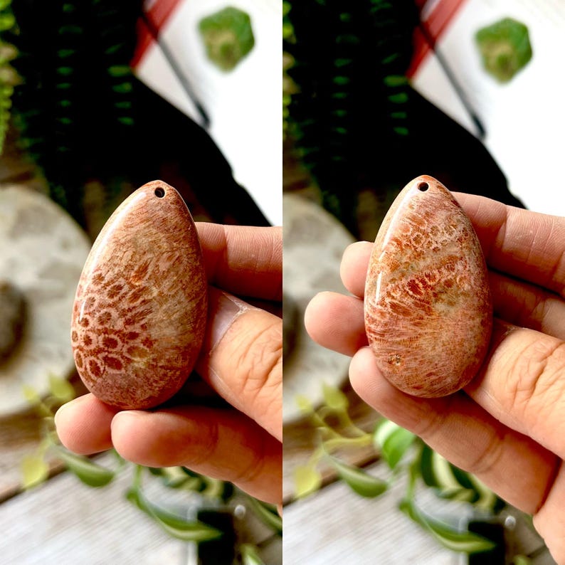 May include: Two teardrop-shaped, polished coral pendants. The pendants are a mix of reddish-brown and tan, with intricate patterns. Each pendant has a small hole at the top for stringing. The background is blurred with greenery.