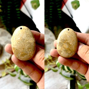 May include: An oval fossil pendant in beige with detailed floral patterns. The stone has a natural appearance and a small hole for threading. The pendant is held in a hand, highlighting its texture and the intricate design.